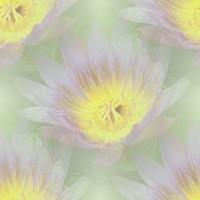 fleur002 (7K)