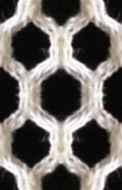 tiss004 (9K)