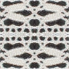 tiss006 (21K)