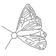 papillon01 (10K)