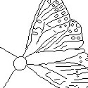 papillon01_mini (8K)