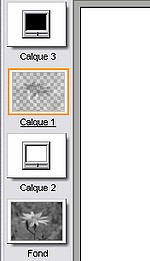 cray_01c (10K)