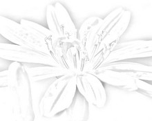 cray_01d (7K)