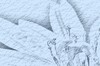 cray_01e (3K)