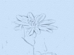 cray_02a (17K)
