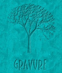 grav_01 (15K)